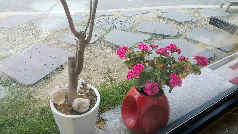 커피쥬스식스명랑핫도그 이미지