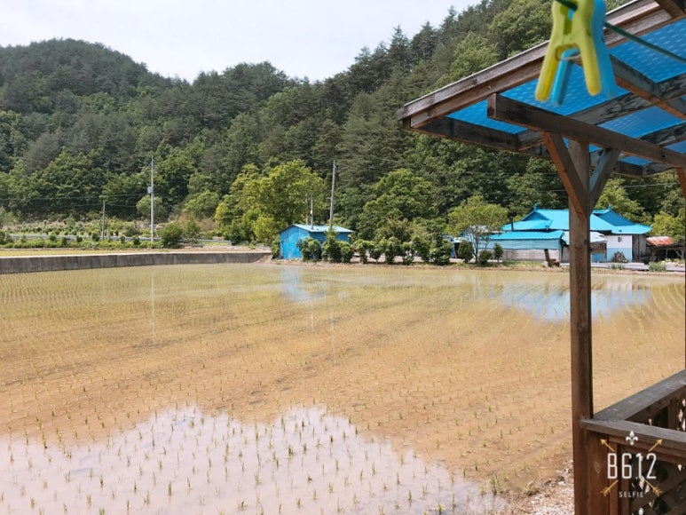 탁장사 이미지