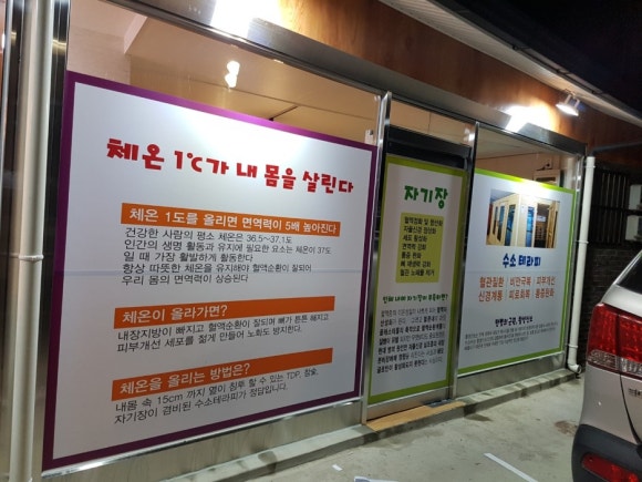 수목토일라이트 이미지