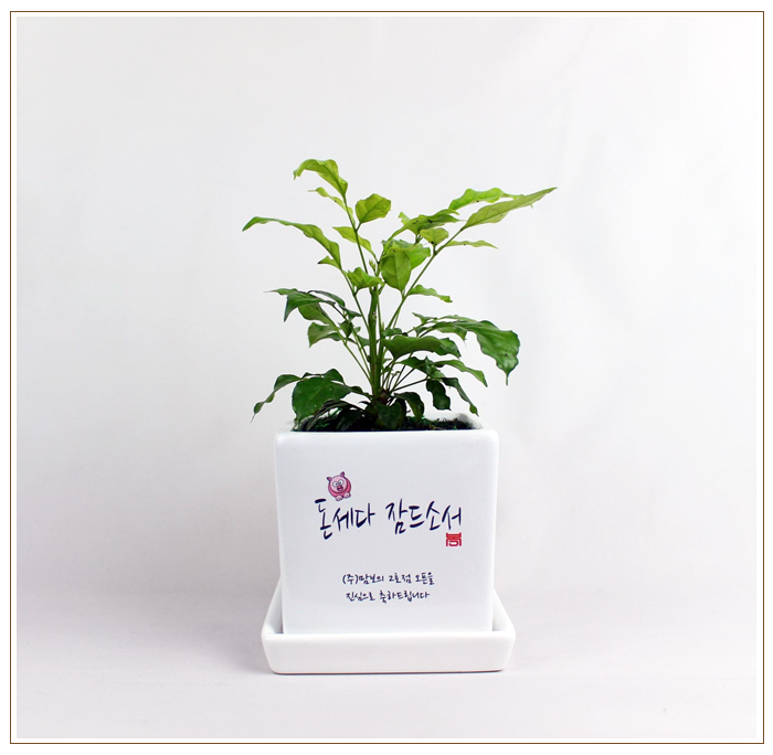 공기조아 이미지