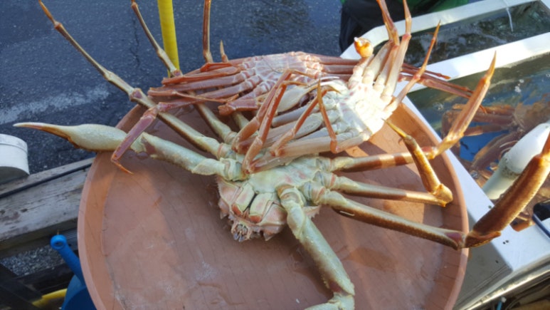 해변횟집 이미지