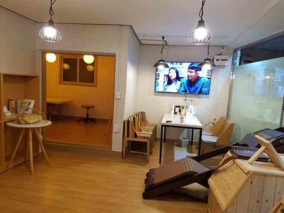 수목토일라이트 이미지