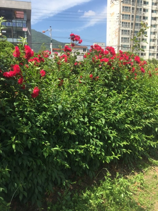 이야기카페 이미지