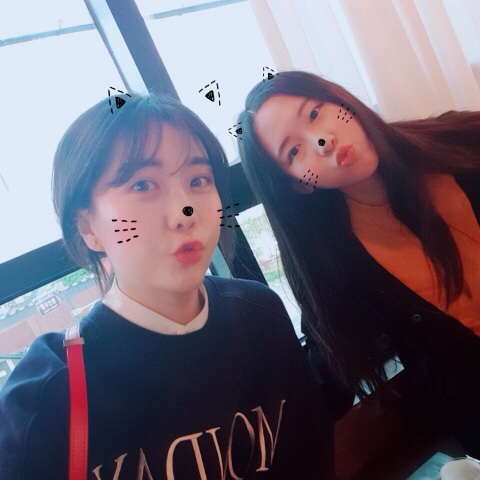 다모아나라 이미지