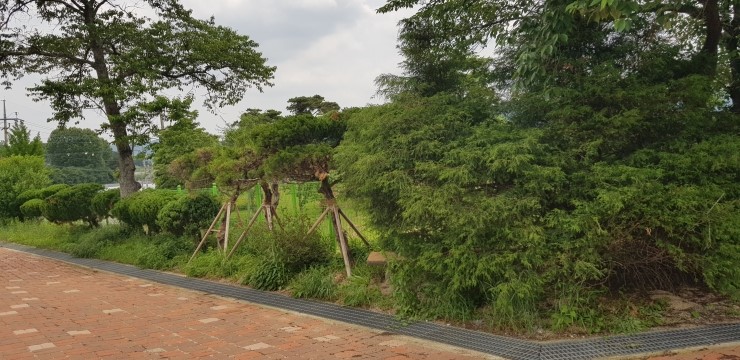 나산조경 이미지