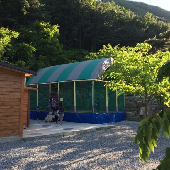 소백산오토캠핑장 이미지