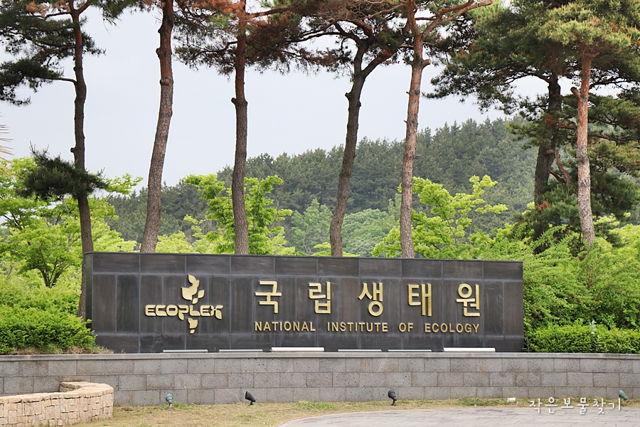 광기획 이미지
