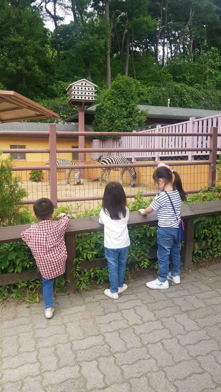 참스민 이미지