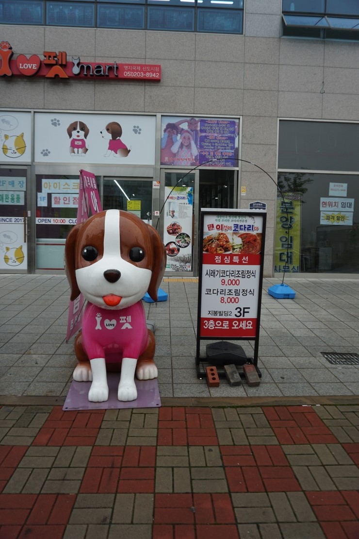 이것이코다리다 이미지