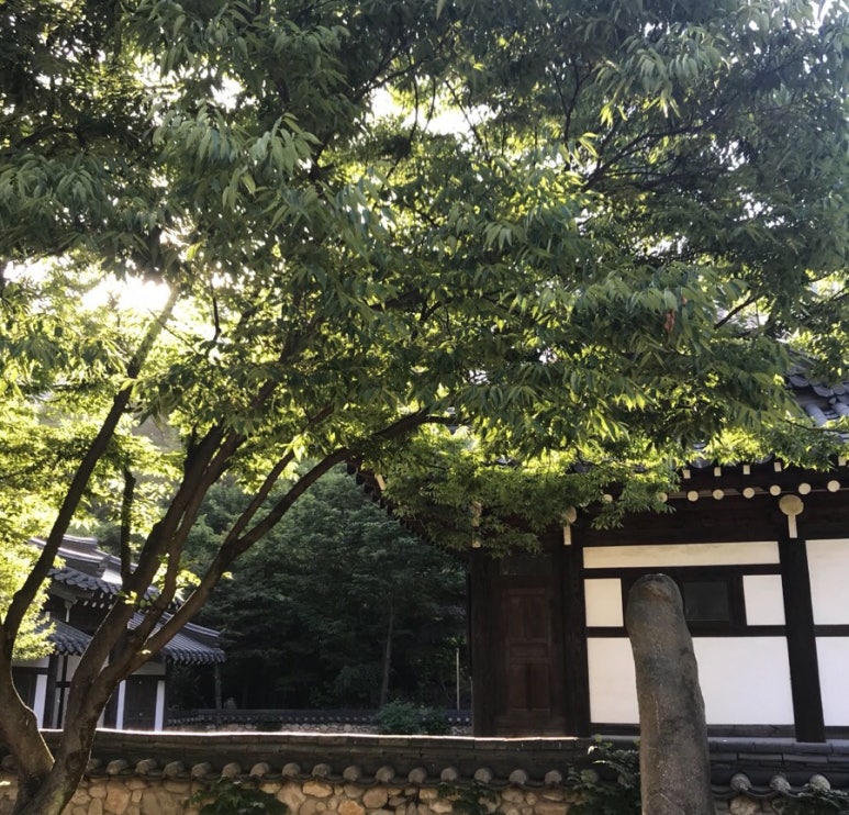 일신피아노사 이미지