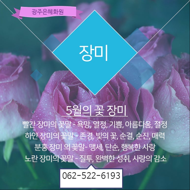 은혜화원 이미지