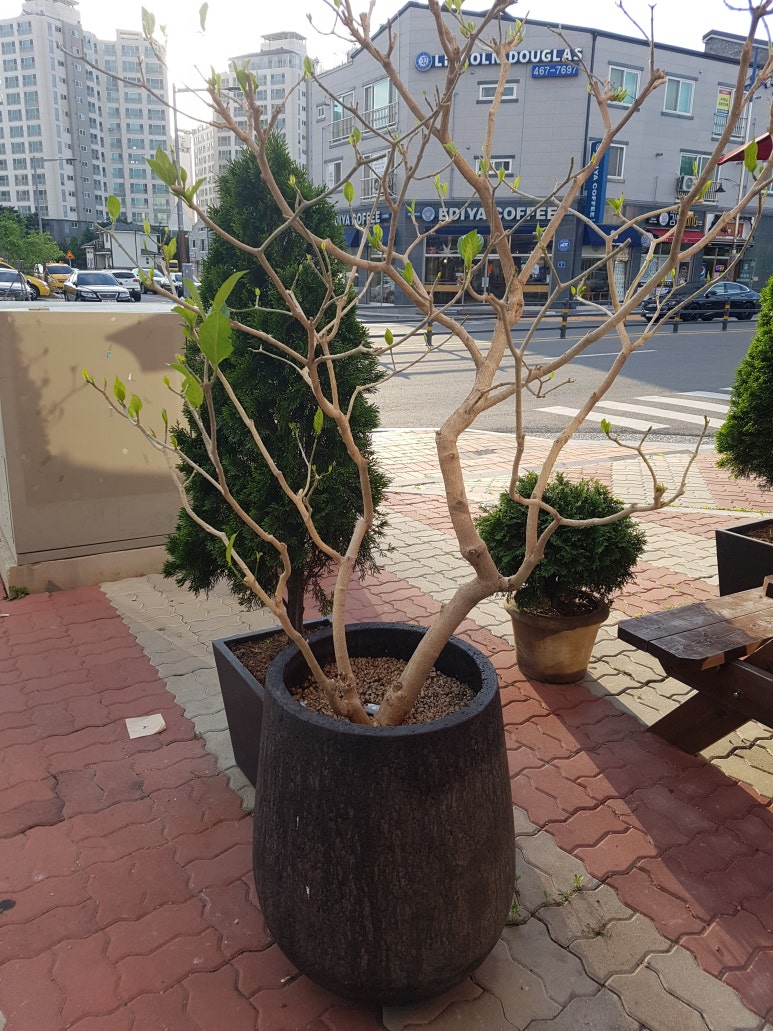 유니버셜커유 이미지