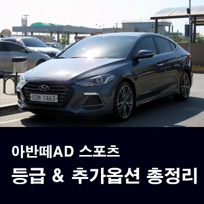 차윤스포츠 이미지