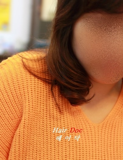 헤어닥 이미지