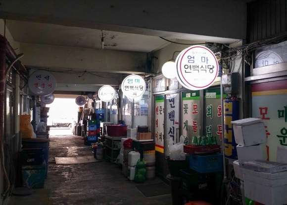 연백 이미지