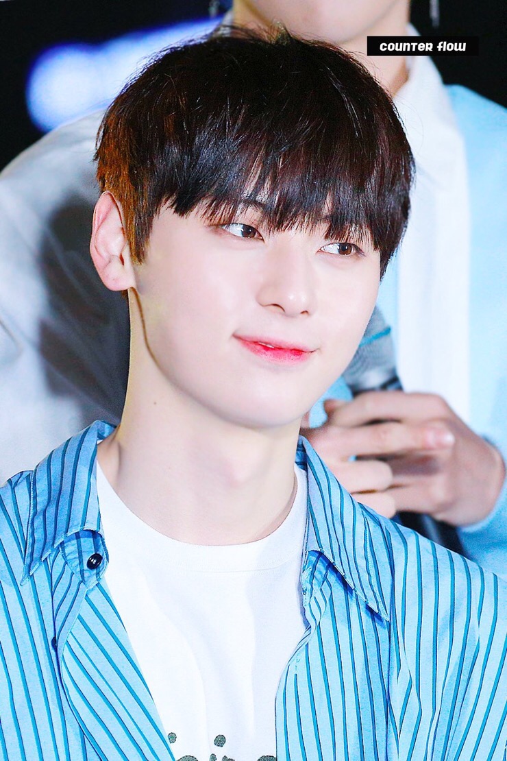 카플 이미지
