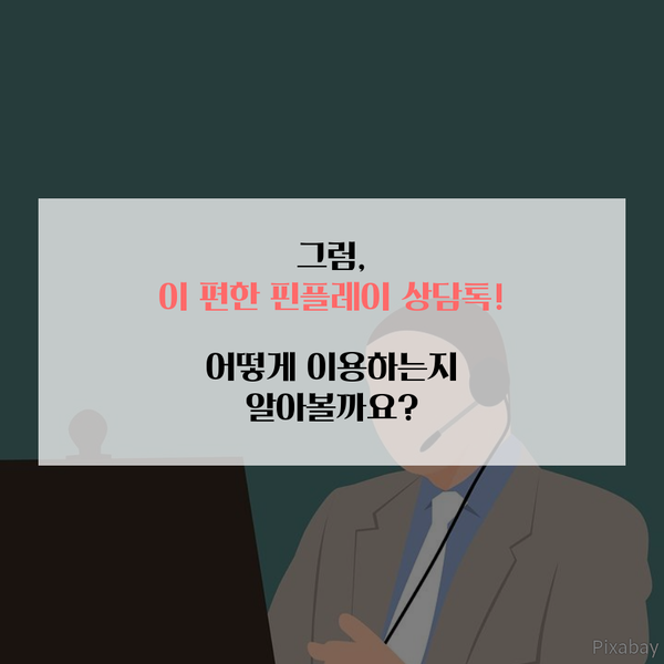 핀플레이 이미지