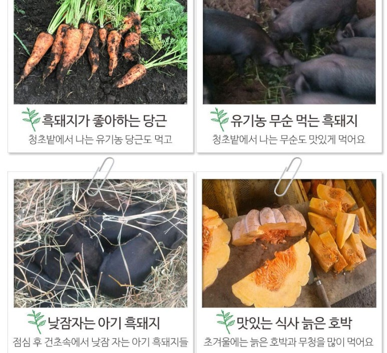 에잇코너스 이미지