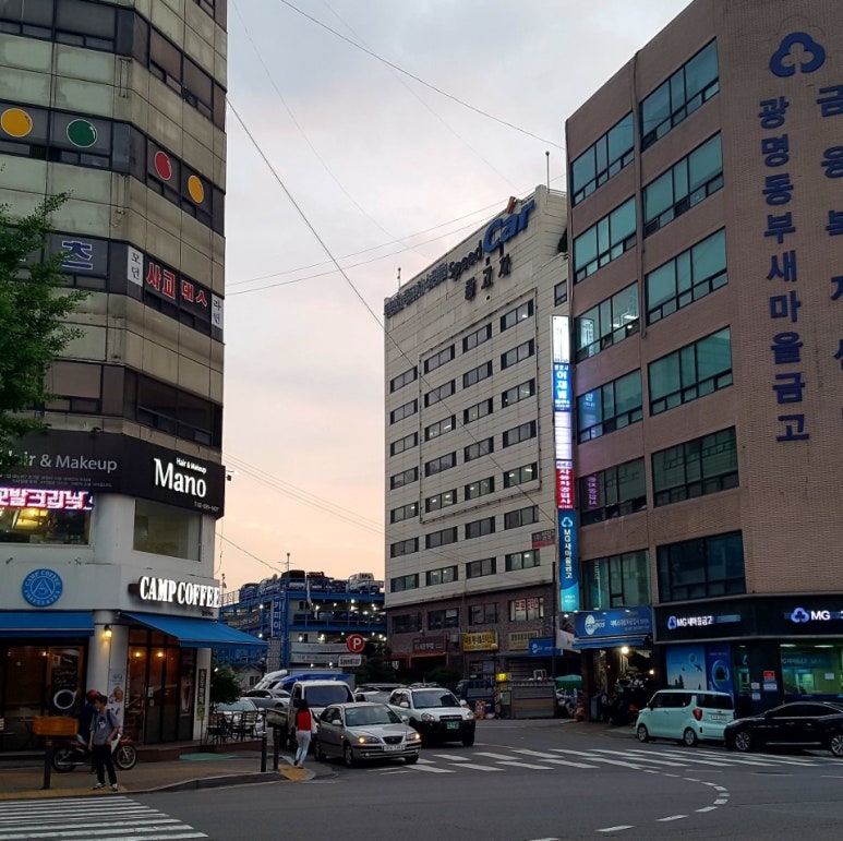 다원모터스 이미지