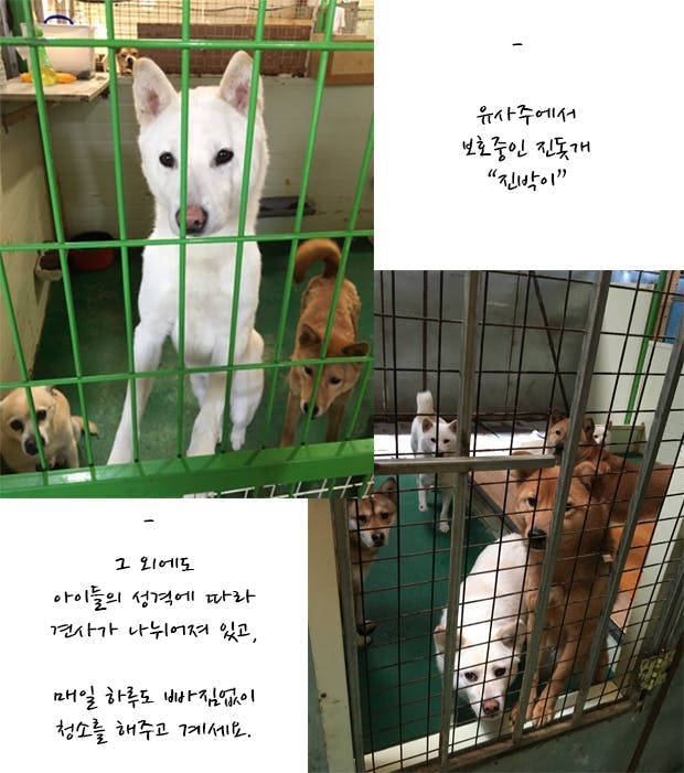 유기스튜디오 이미지
