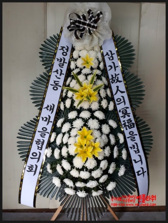 국가대표꽃배달엔플라워 이미지