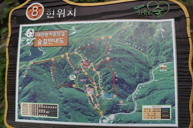 국립대관령치유의숲 이미지