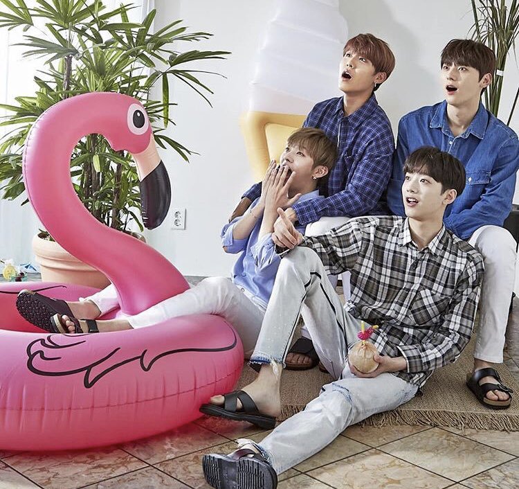워너그램 이미지