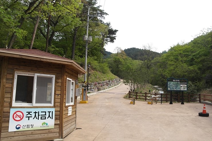 국립대관령치유의숲 이미지