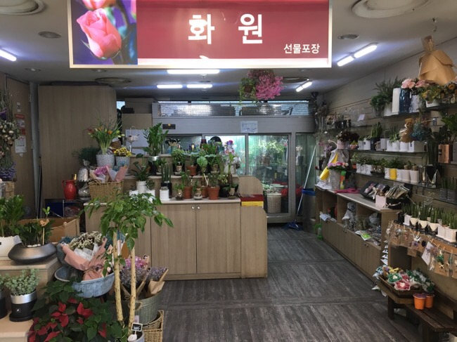 플러스화원 이미지