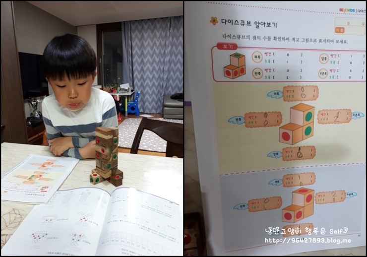 다이스큐브 이미지