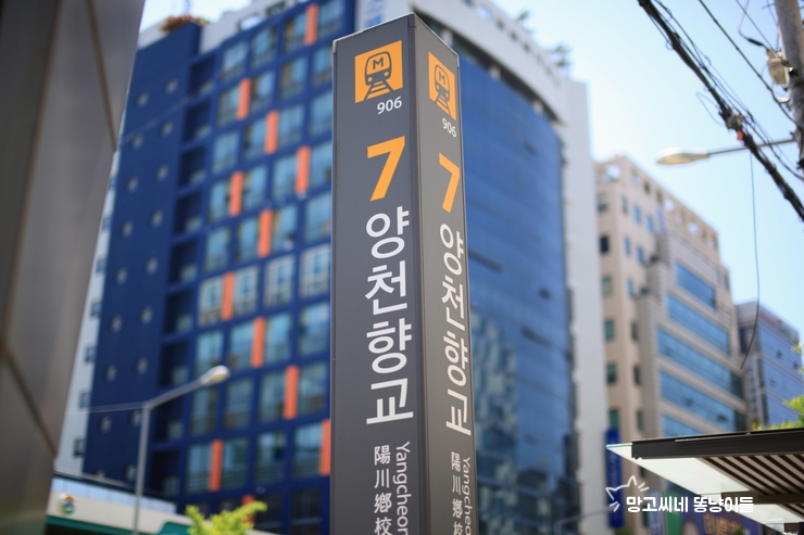 레미네일속눈썹 이미지