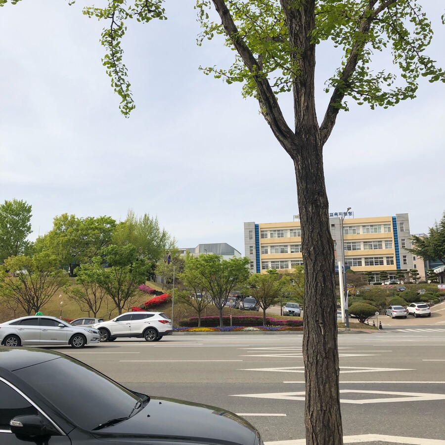 투썸플레이스 시청점 이미지