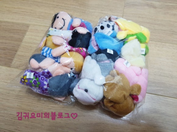 팜앤조이 이미지