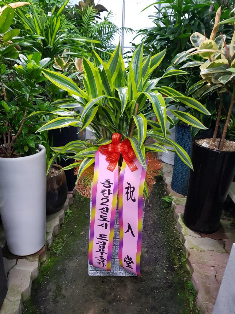 오산화훼조경 이미지