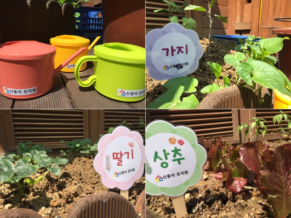 신동아유치원 이미지