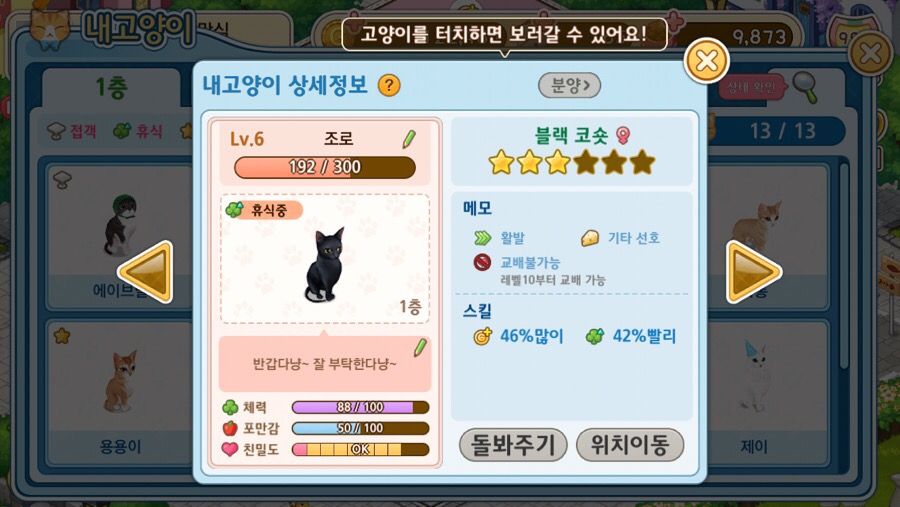 고양이다방 이미지