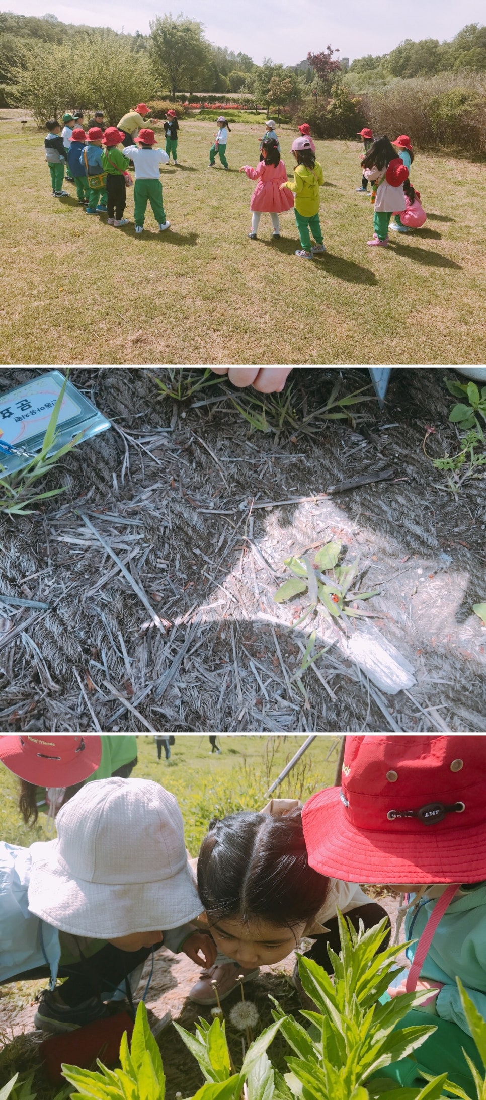 신동아유치원 이미지