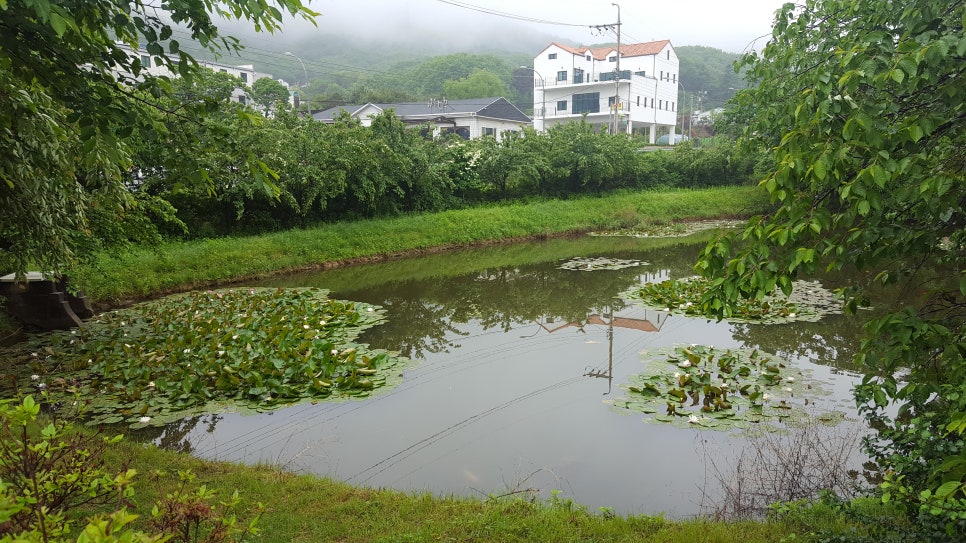 가정용연료소매업 이미지