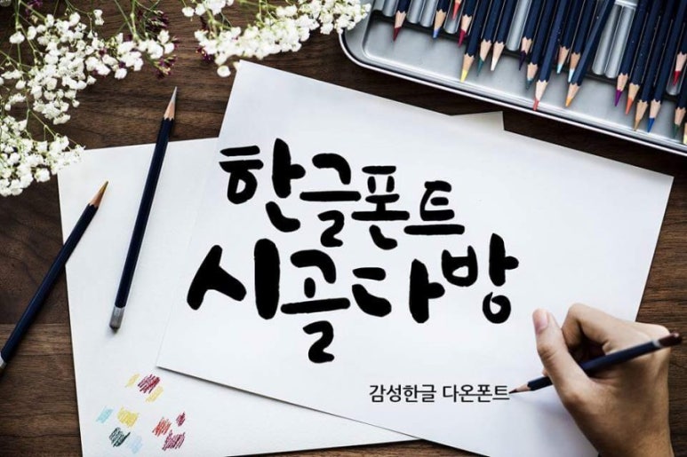 다온패키지 이미지