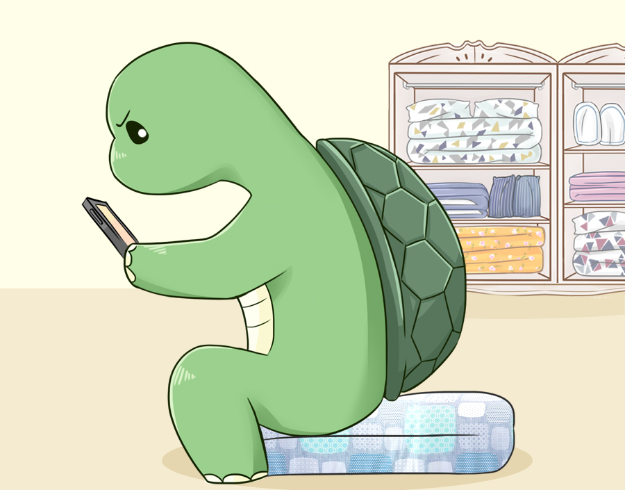 이브자리코디센 이미지