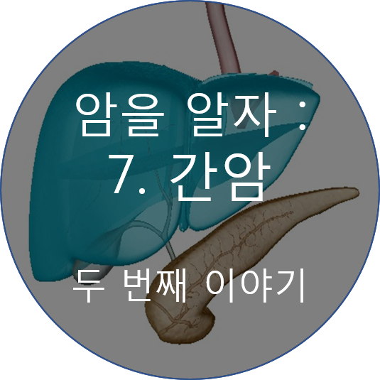 센신코리아 이미지