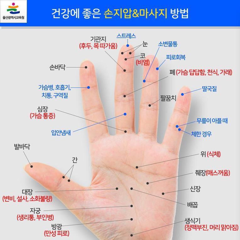에이스건강마사지 이미지