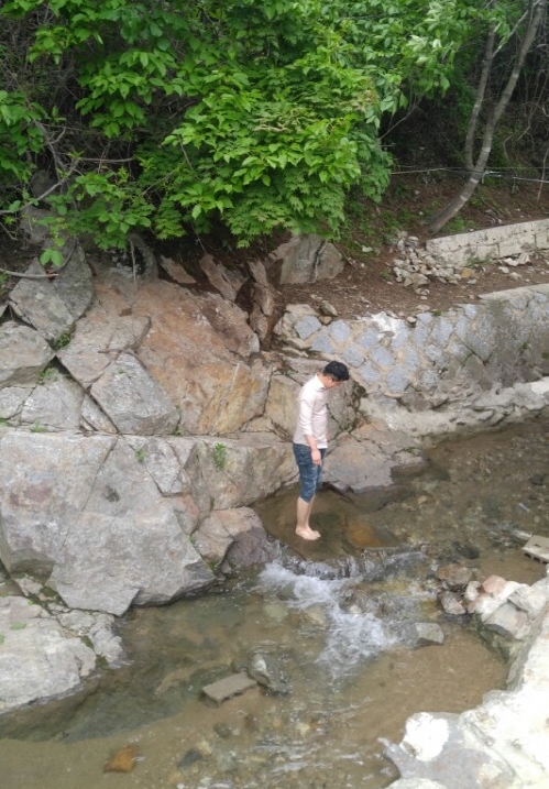 시인과촌장식당 이미지