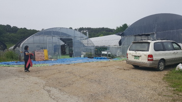 임마누엘 농장 이미지