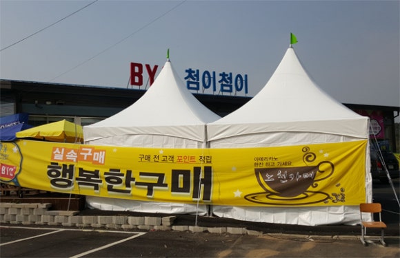 놀스타 이미지