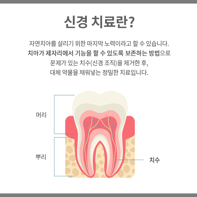 서울하우치과 이미지