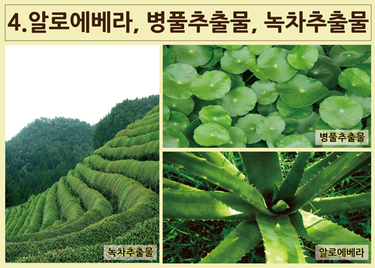 내몸사랑 뷰티샵 이미지