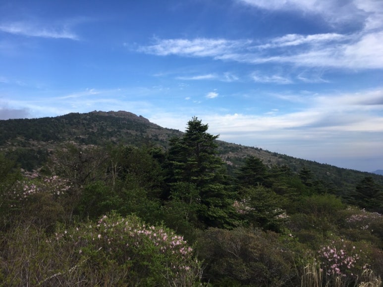 세석조경 이미지
