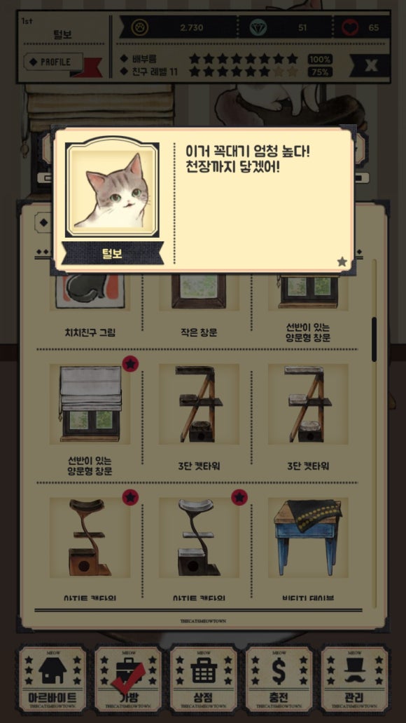 고양이자리 이미지