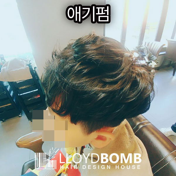 로이드밤 구서점 이미지